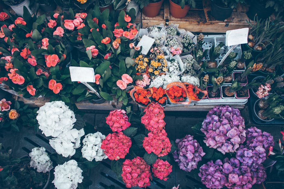 An assortment of vibrant flowering plants arranged on display at flowershoddesdon.co.uk, featuring a variety of blooms including pink, white, red, and purple hydrangeas with large, rounded clusters of